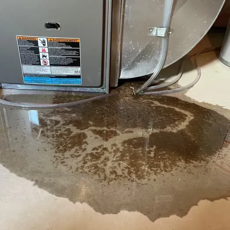 Appliance Leak Cleanup in Elizabethtown, KY